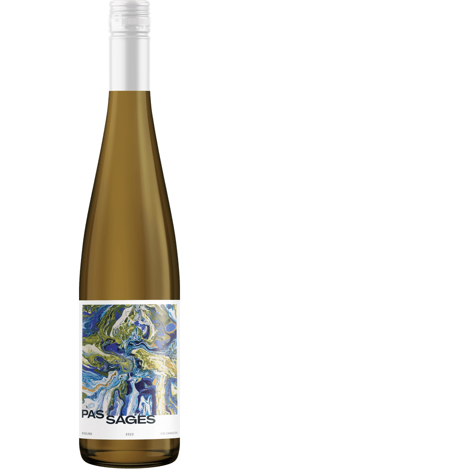 Riesling Par Amelia Hadouchi